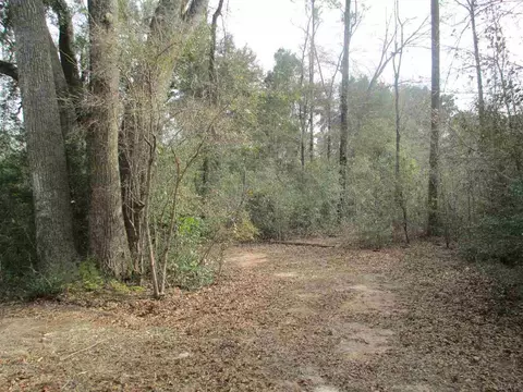6659 Emerald Forest Dr, Milton, FL 32570 photo 4