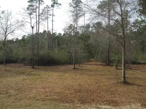 6659 Emerald Forest Dr, Milton, FL 32570 photo 34