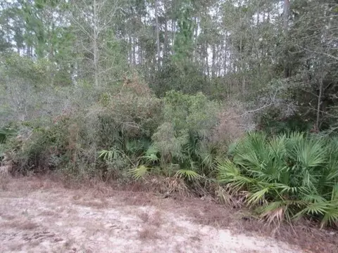 5557 Kailey Rd, Milton, FL 32583 photo 5
