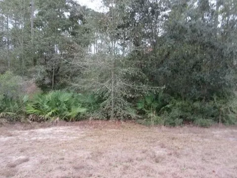 5557 Kailey Rd, Milton, FL 32583 photo 4