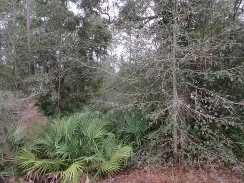 5557 Kailey Rd, Milton, FL 32583 photo 6