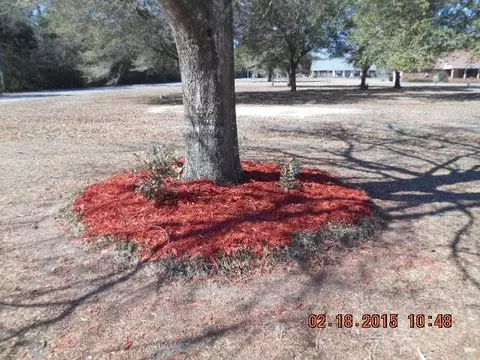 3860 Lane Rd, Pace, FL 32571 photo 33