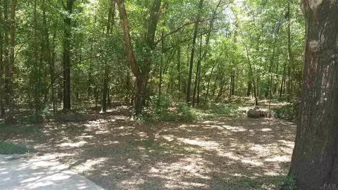 635 N Hwy 99, Mcdavid, FL 32568 photo 3