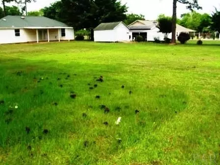 3683 Gardenview Rd, Pace, FL 32571 photo 34