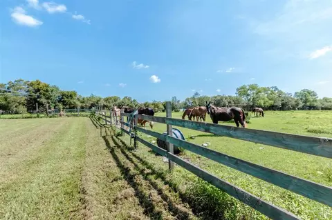 7380 Walther Rd, Milton, FL 32570 photo 33