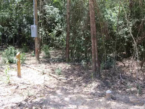 5261 Old Oak Rd, Milton, FL 32583 photo 6