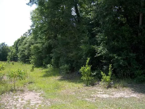 410 Brown Rd, Mcdavid, FL 32568 photo 1