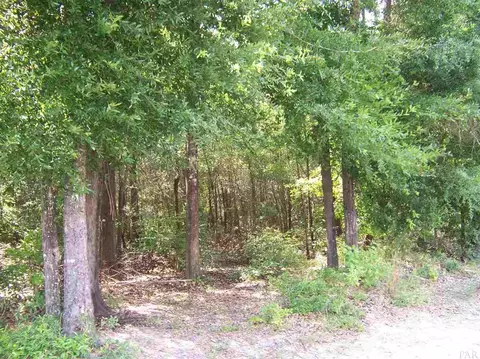 410 Brown Rd, Mcdavid, FL 32568 photo 4
