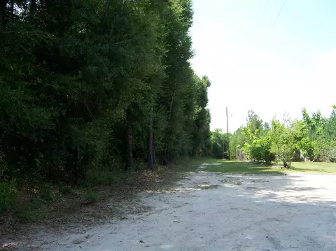 410 Brown Rd, Mcdavid, FL 32568 photo 5
