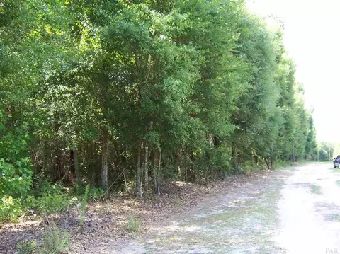 410 Brown Rd, Mcdavid, FL 32568 photo 3