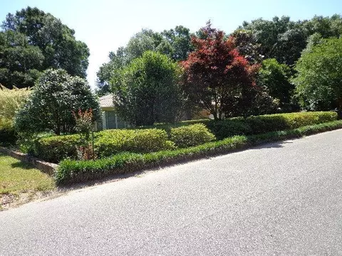 4638 Gregg Ave, Pace, FL 32571 photo 44