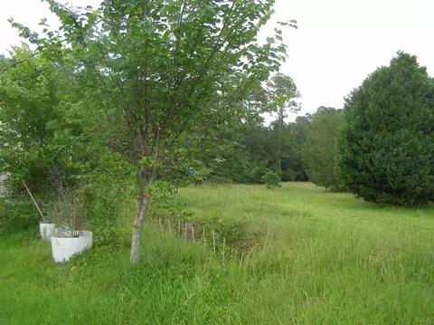 3329 Robinson Point Rd, Milton, FL 32583 photo 7