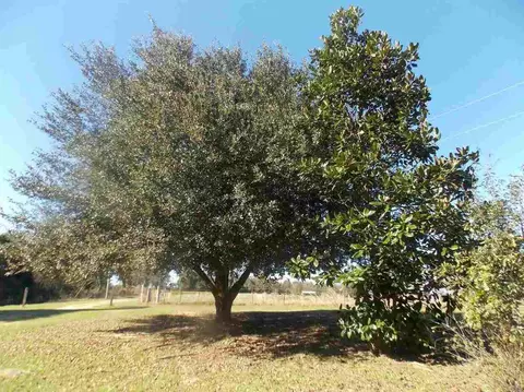 4295 Goldfinch Ln, Jay, FL 32565 photo 23
