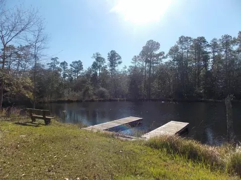 4295 Goldfinch Ln, Jay, FL 32565 photo 30