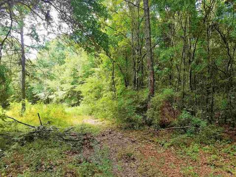 539 551 Brown Rd, Mcdavid, FL 32568 photo 7