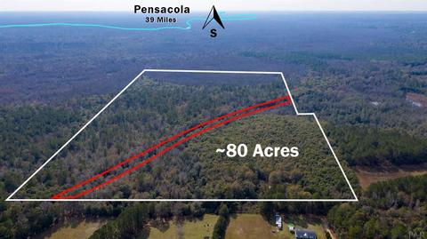 539 551 Brown Rd, Mcdavid, FL 32568 photo 3