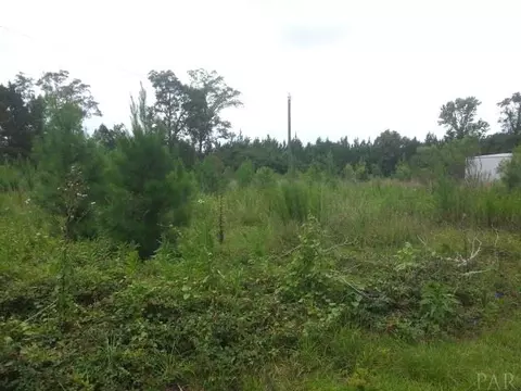 4903 Dixonville Rd, Jay, FL 32565 photo 16