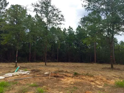 5694 Flume Dr, Pace, FL 32571 photo 1