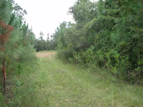 4661 Bayside Dr, Milton, FL 32583 photo 1