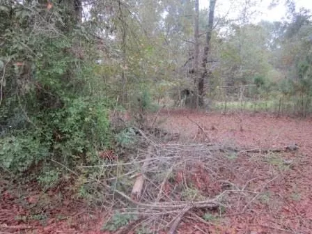 2569 Nelsontown Rd, Jay, FL 32565 photo 18