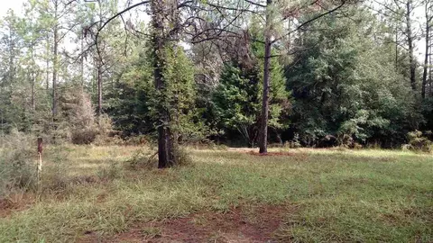 9101 Abb Pitman Rd, Milton, FL 32570 photo 3