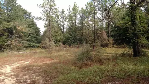 9101 Abb Pitman Rd, Milton, FL 32570 photo 4