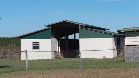 5740 Arthur Brown Rd, Mcdavid, FL 32568 photo 21
