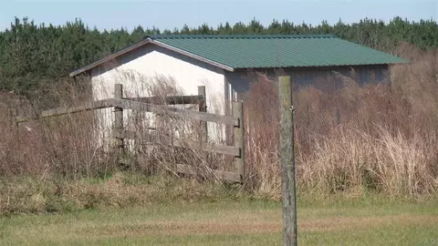 5740 Arthur Brown Rd, Mcdavid, FL 32568 photo 25