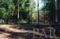3022 Diamond Creek Dr, Pace, FL 32571 photo 13