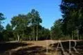 3022 Diamond Creek Dr, Pace, FL 32571 photo 9