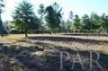 3022 Diamond Creek Dr, Pace, FL 32571 photo 15