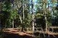 3022 Diamond Creek Dr, Pace, FL 32571 photo 7