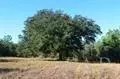 3022 Diamond Creek Dr, Pace, FL 32571 photo 17
