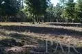 3022 Diamond Creek Dr, Pace, FL 32571 photo 14
