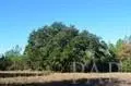3022 Diamond Creek Dr, Pace, FL 32571 photo 16