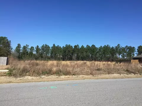 2362 Phylis Rae Dr, Pace, FL 32571 photo 5
