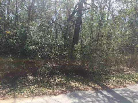 tbd Sanchez Ct, Milton, FL 32583 photo 5