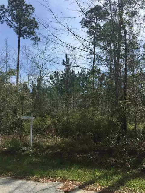 tbd Sanchez Ct, Milton, FL 32583 photo 3