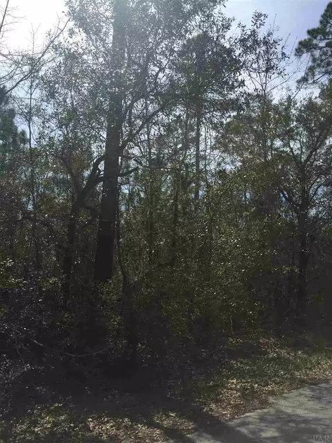 tbd Sanchez Ct, Milton, FL 32583 photo 6