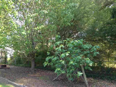 4923 Crowder St, Pace, FL 32571 photo 21
