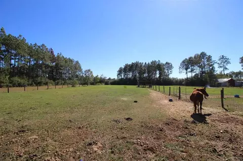 2541 Renfroe Rd, Pace, FL 32571 photo 39