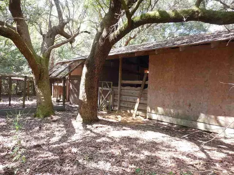 5201 Bodega Dr, Milton, FL 32583 photo 11