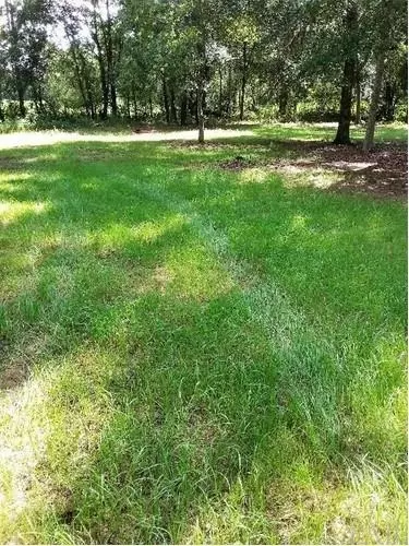 7950 County Rd 97-a, Mcdavid, FL 32568 photo 4
