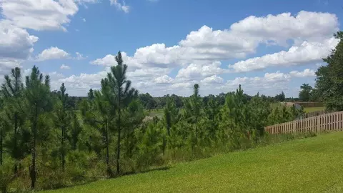 2991 Gemstone Cir, Pace, FL 32571 photo 31