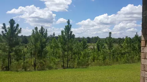 2991 Gemstone Cir, Pace, FL 32571 photo 32