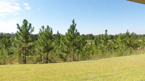 2991 Gemstone Cir, Pace, FL 32571 photo 29