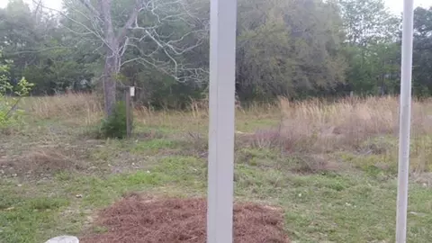 3450 Willard Norris Rd, Pace, FL 32571 photo 8
