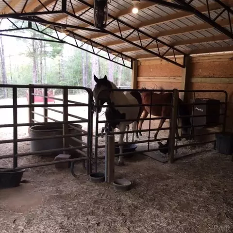 6200 Old Pollard Rd, Jay, FL 32565 photo 26