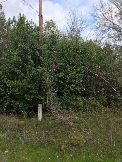 4308 Watermill Rd, Jay, FL 32565 photo 3