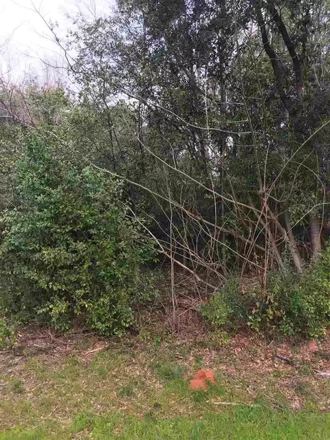 4308 Watermill Rd, Jay, FL 32565 photo 1